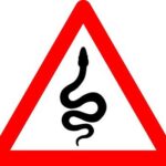 sign-snake-snake-warning-sign-danger-snake-sign-red-triangle-sign-with-venomous-snake-icon-inside-risk-of-snake-bite-caution-snake-snake-venom-vector