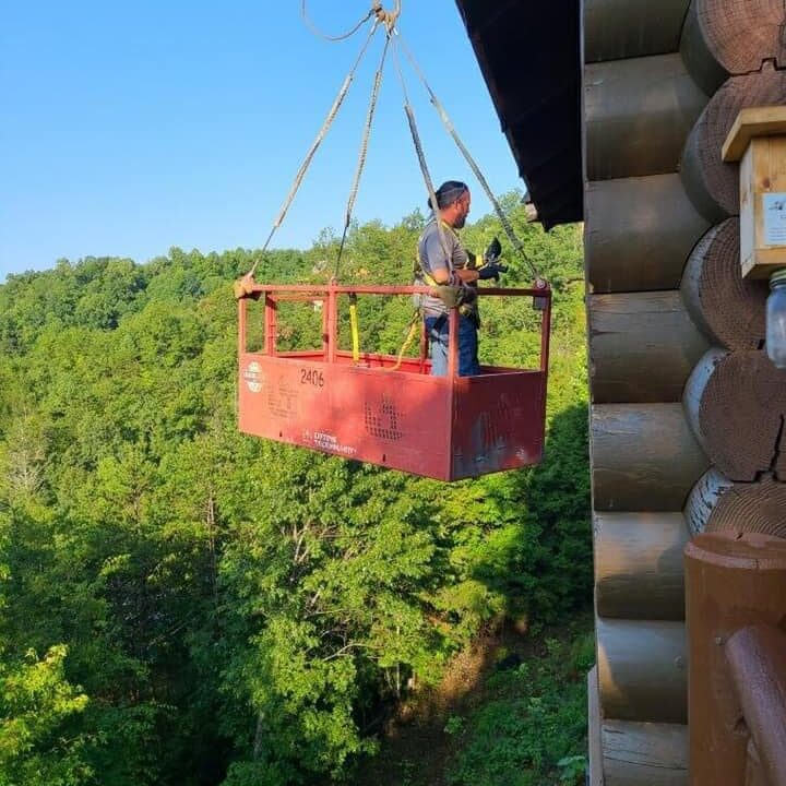 Bat Exclusion in Knoxville, TN.
